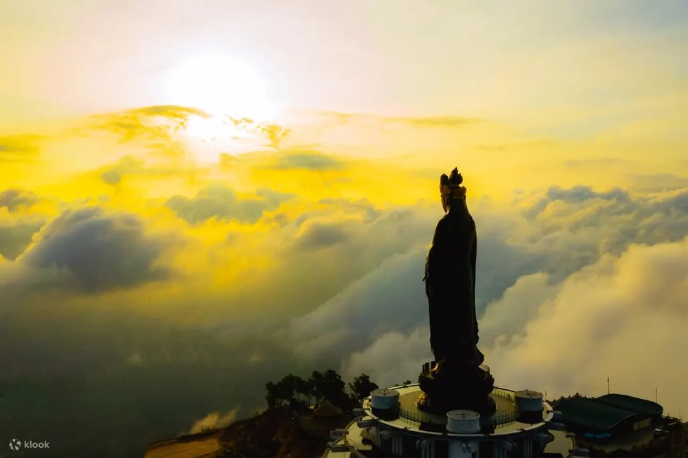 ban-phao-hoa-nui-ba-den
