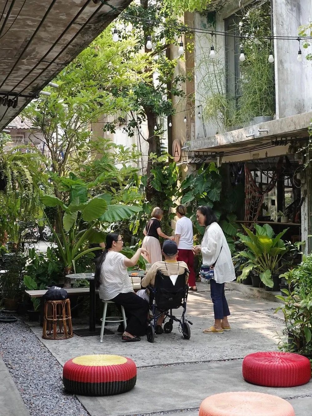 社区,photo丨ins@cilantro.bkk