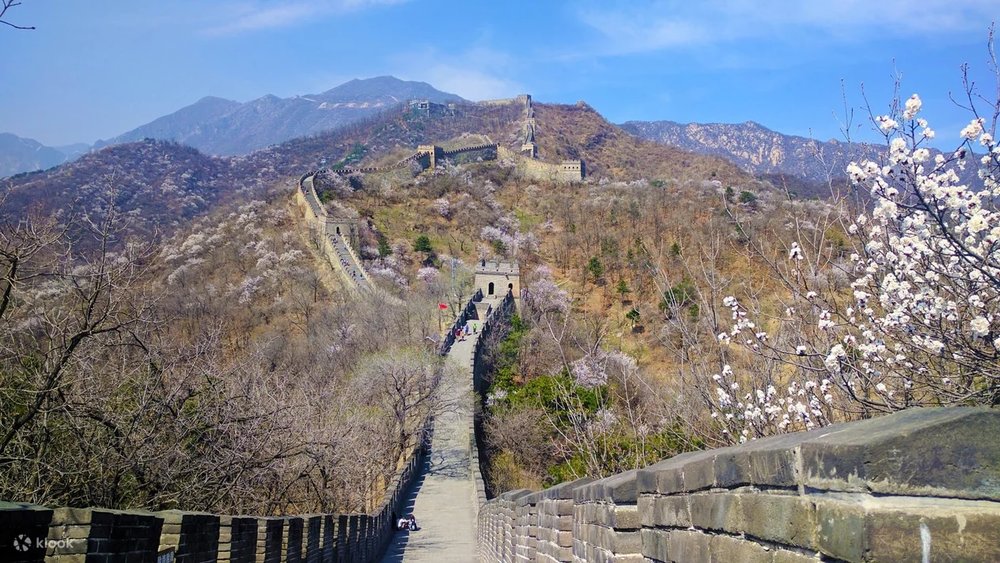 Ngày 4: Bắc Kinh - Quảng Trường Thiên An Môn, Tử Cấm Thành, Cung Điện Mùa Hè, Khu Phố Cổ Nanluoguxiang