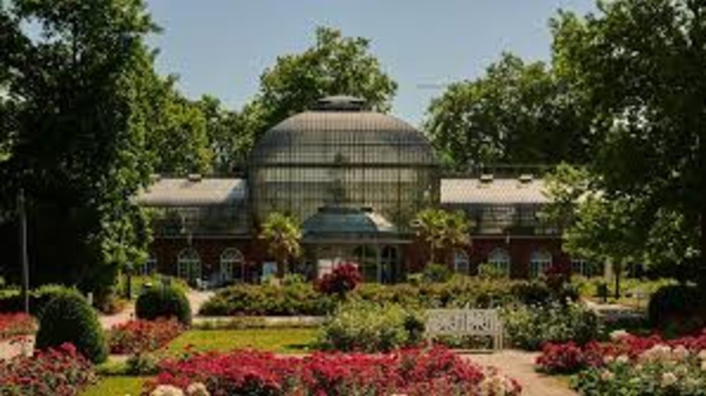 Ngày 2: Frankfurt (Đức) - Bảo Tàng Senckenberg, Palmengarten, Alte Oper