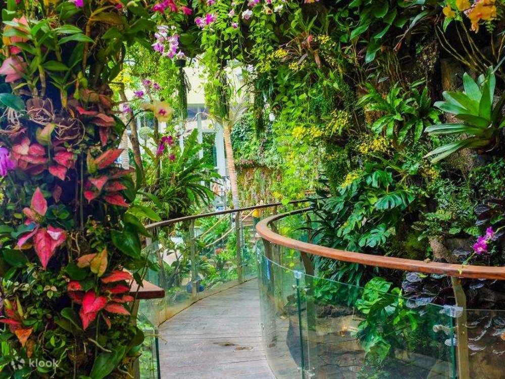 Vườn Bách Thảo Sinh Thái Rừng Nhiệt Đới Zhengjia Quảng Châu