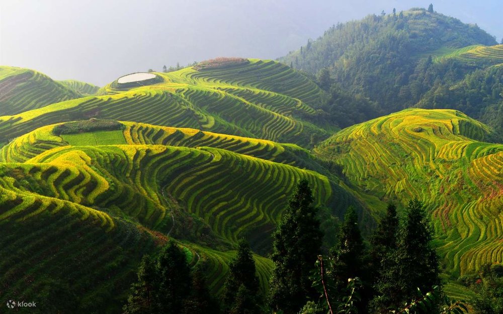 Quế Lâm - Thành Phố Yên Bình Với Ruộng Bậc Thang