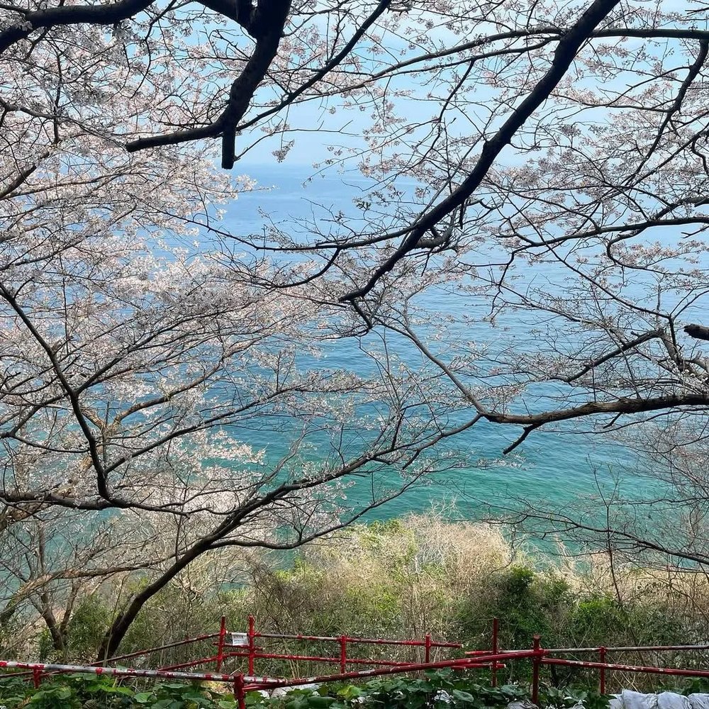 instagram@setouchi_triennale 📍伊吹岛