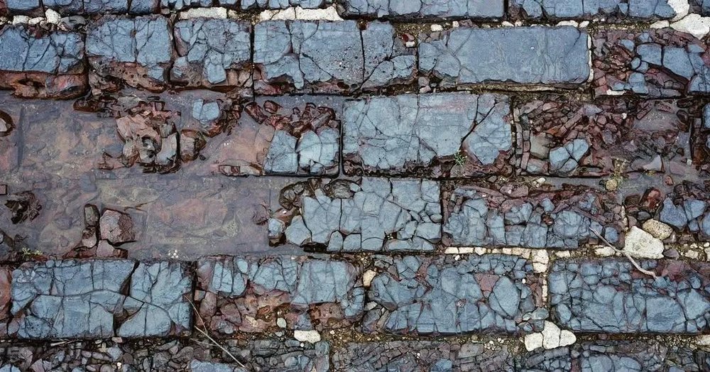 instagram@chinthebear