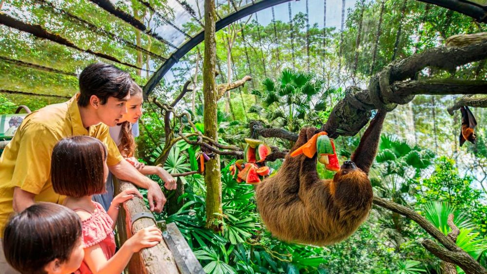 Make new friends with the animals at Singapore Zoo!