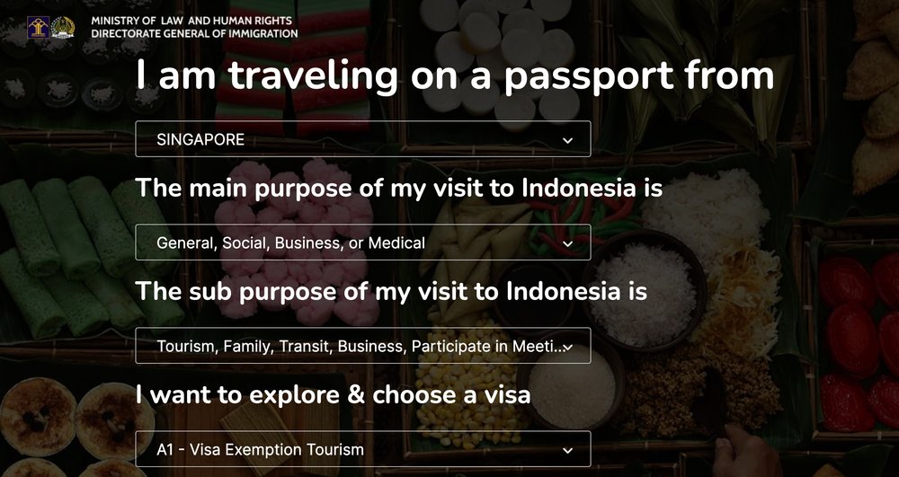 Bali Immigration eVisa Form