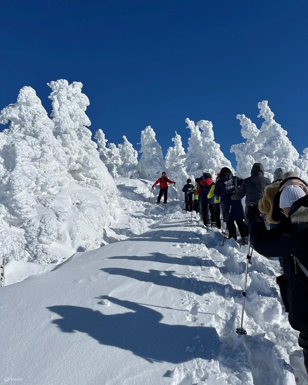 八甲田纜車樹冰,青森自由行