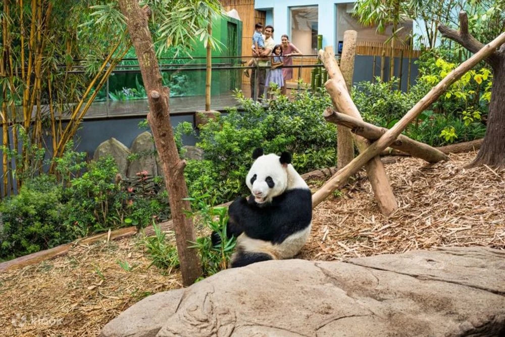 Ngày 2: Mandai Wildlife Reserve