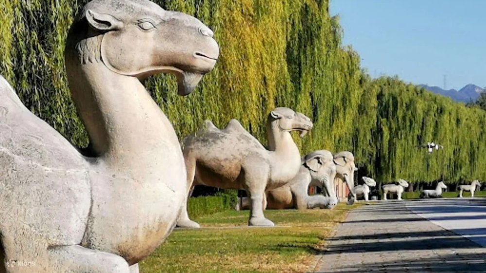 Đi Dạo Dọc Con Đường Thần Lộ