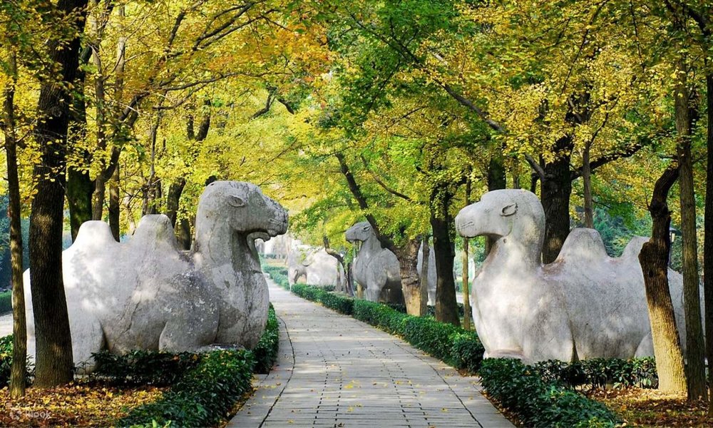 Giá Vé Tham Quan Thập Tam Lăng Bao Nhiêu?