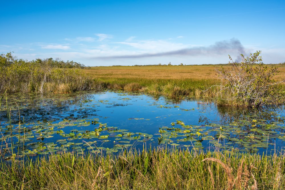 Vườn Quốc gia Everglades National Park - Florida