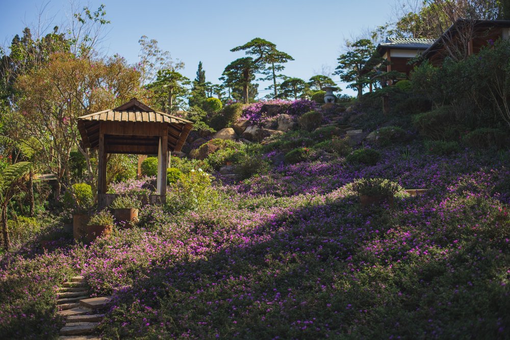 Vườn hoa QUE Garden
