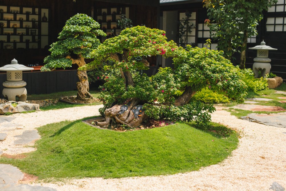 Tham gia workshop cắm hoa và trang trí bonsai