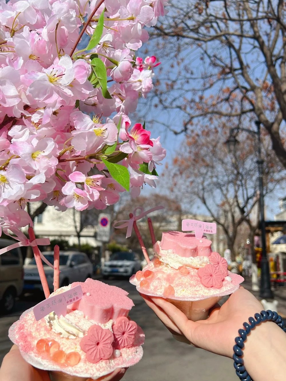 hoa-anh-dao-trung-quoc