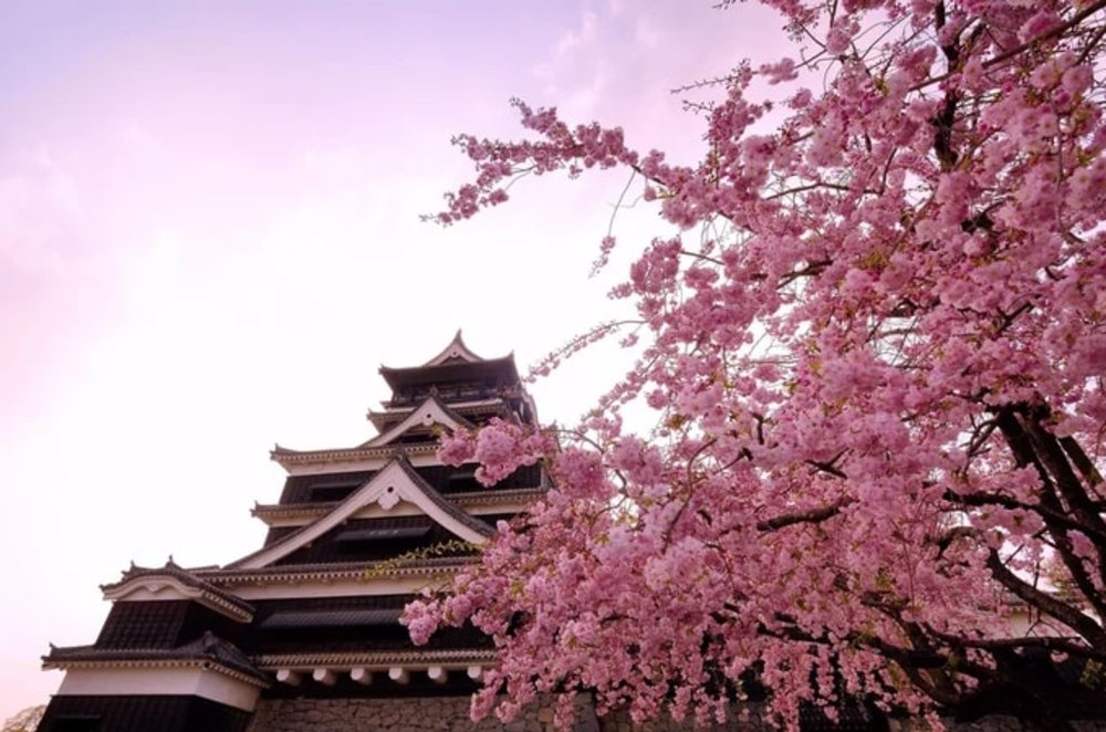 Photo: 熊本城公式Facebook ページ 