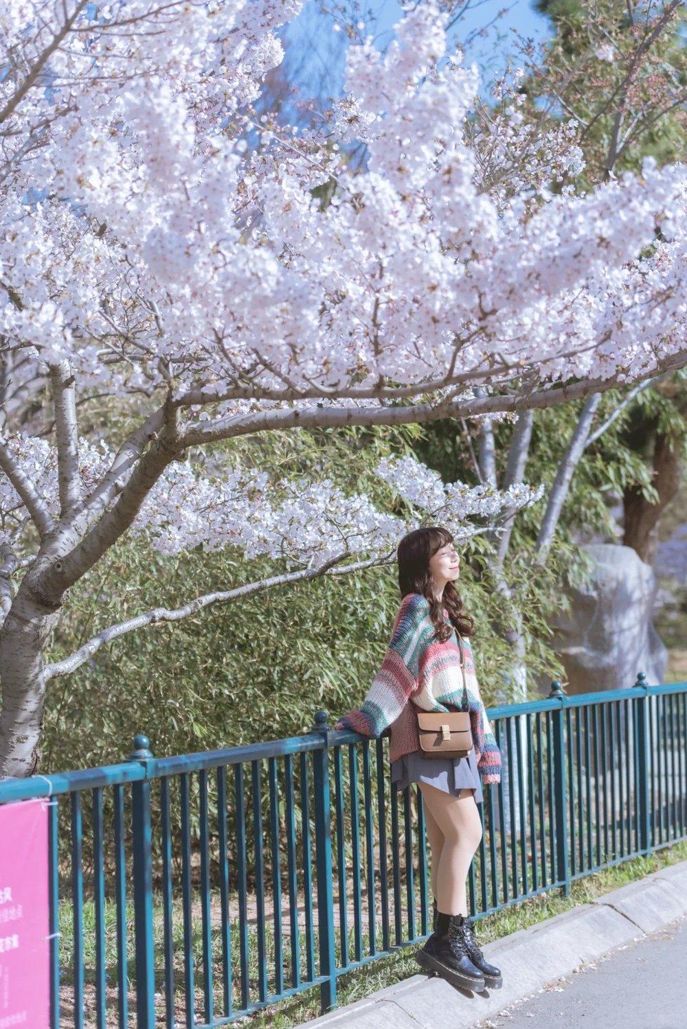 hoa-anh-dao-trung-quoc