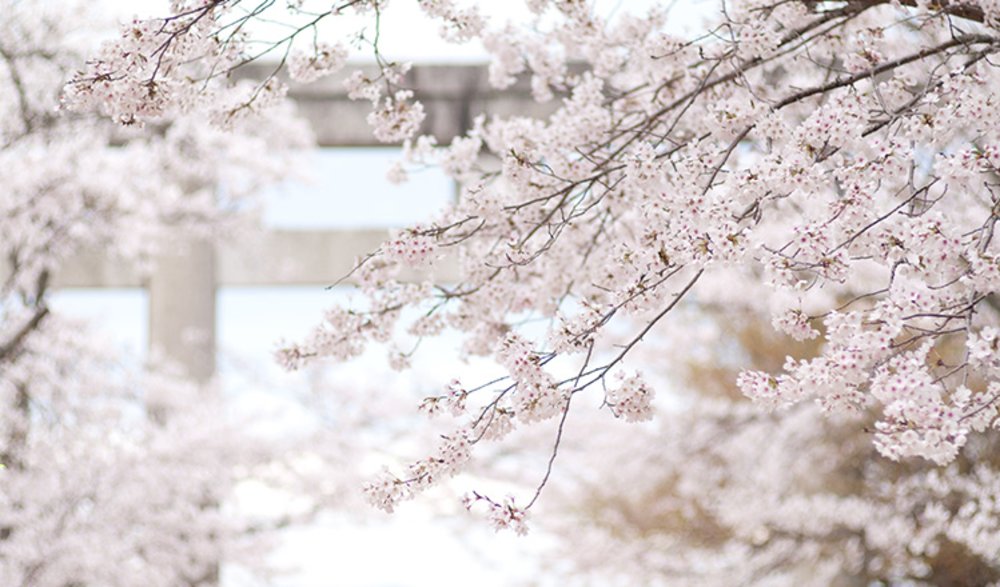 寶滿宮竈門神社