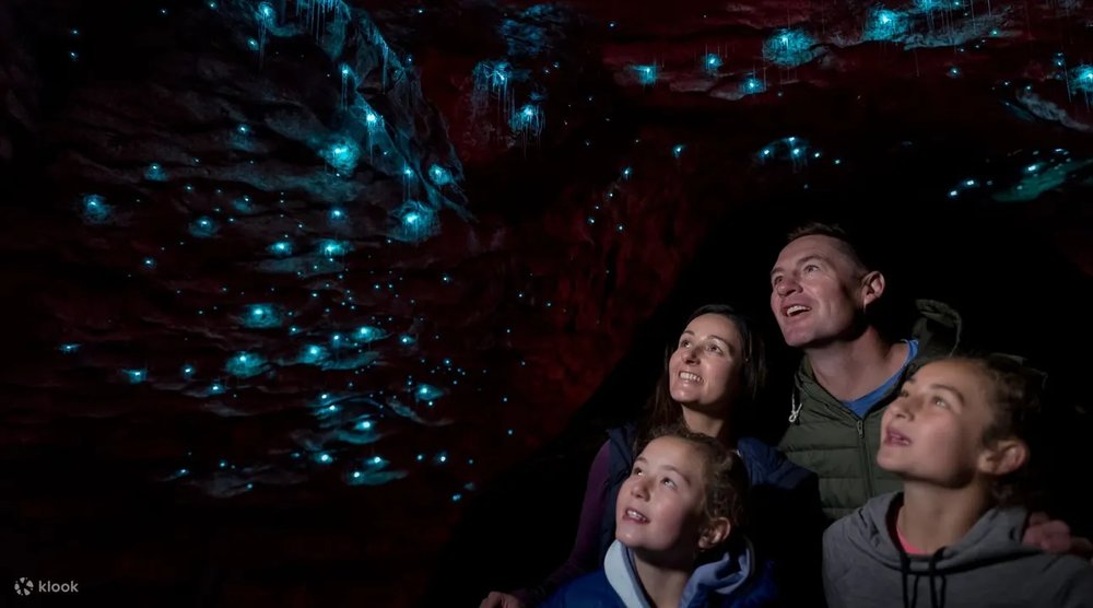 紐西蘭蒂阿瑙螢火蟲洞