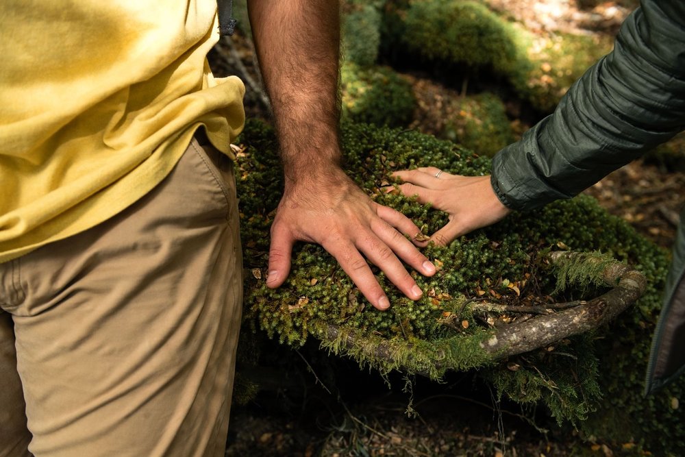 蒂阿瑙螢火蟲洞之旅