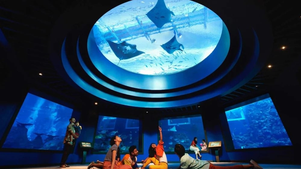 Ngày 1: Khám Phá Đảo Sentosa