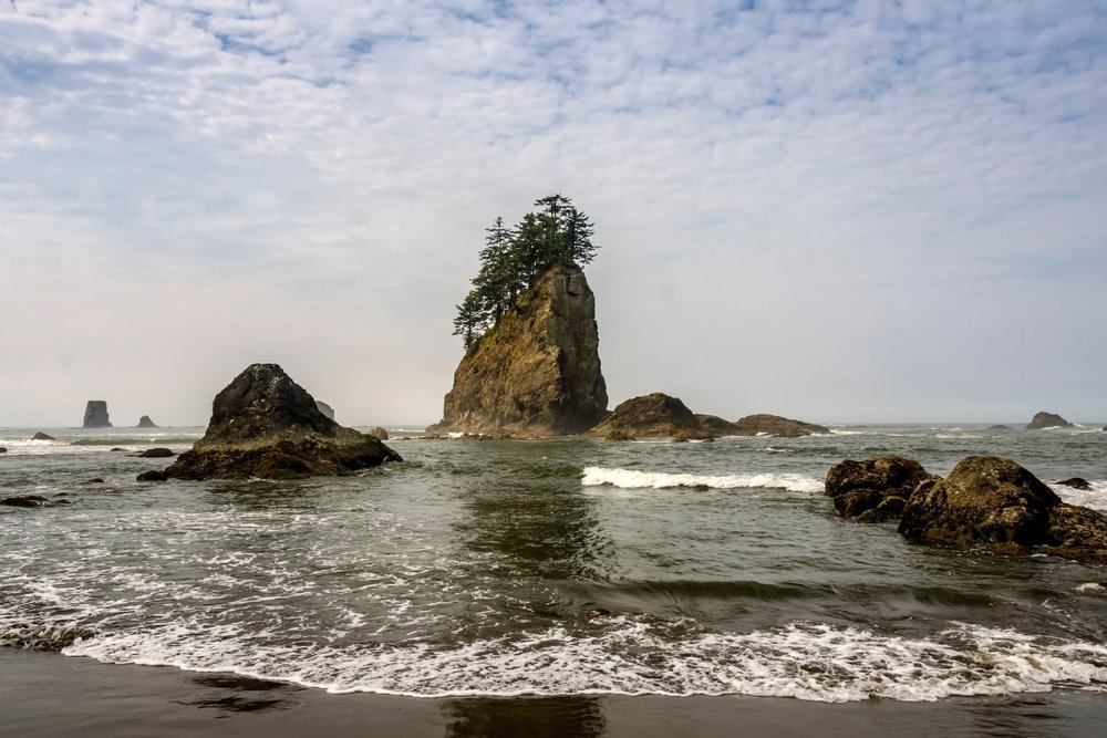 Bãi Biển La Push, Washington