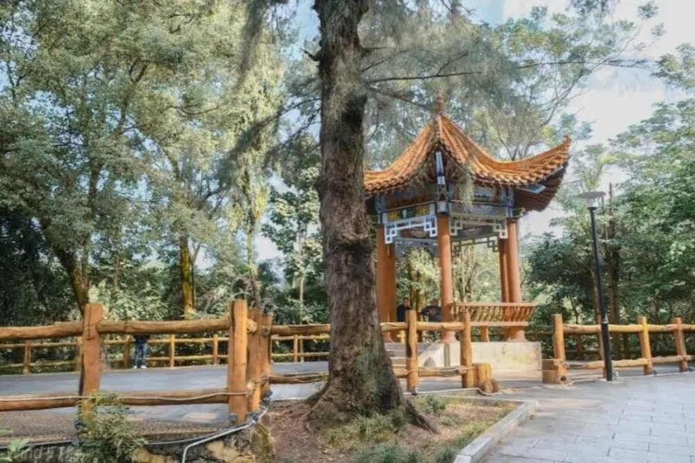 Chợ Vạn Chúng - Đông Hưng