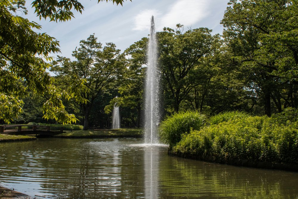 代代木公園