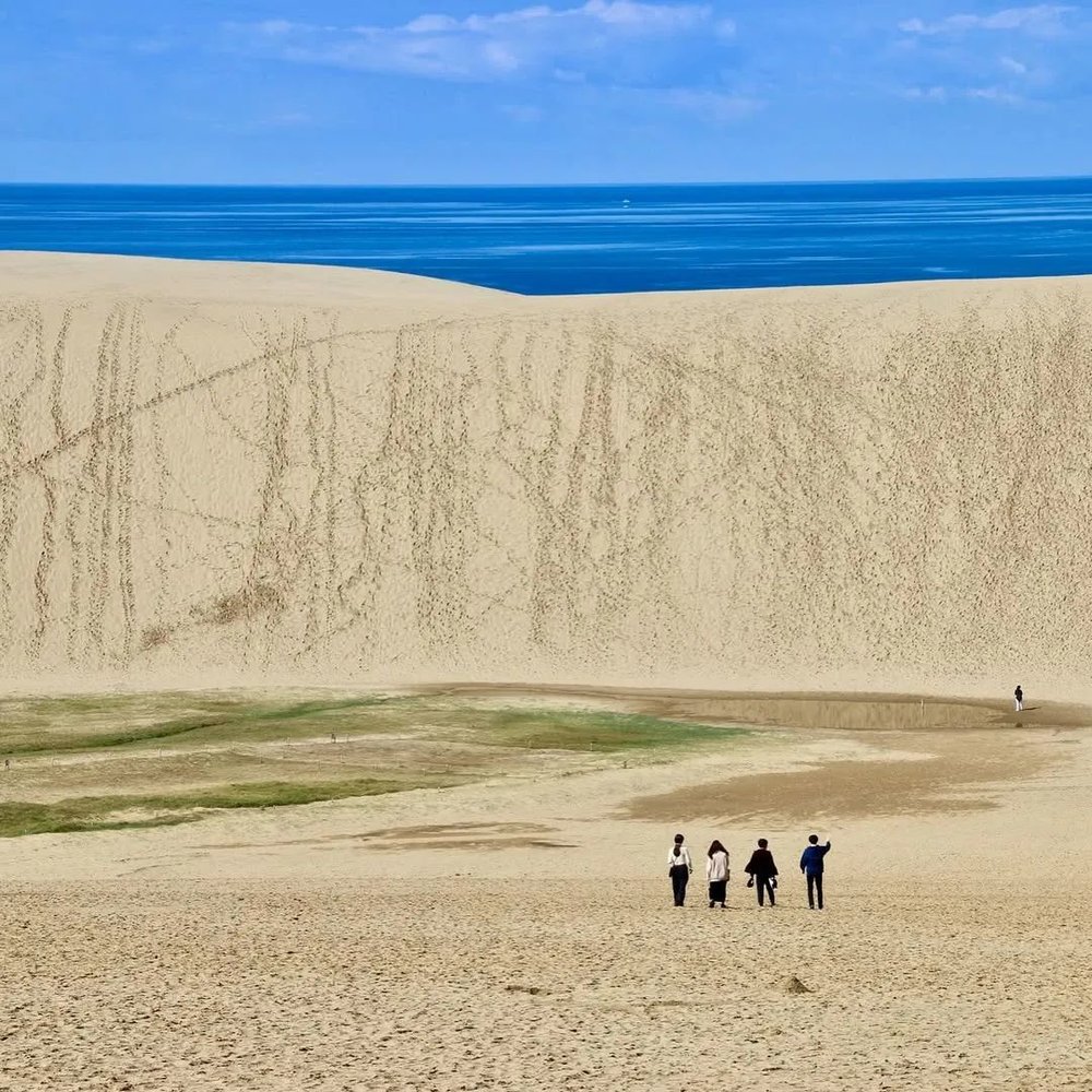 鸟取沙丘 photo｜tsunagaru.jp.travel