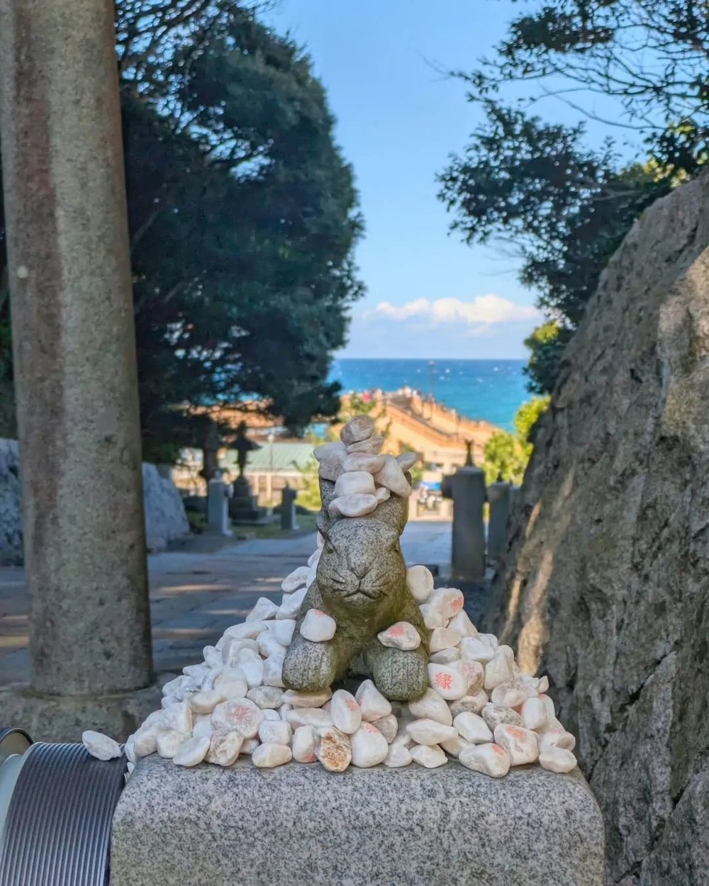 Instagram@dkdish.zooo.lo.lq