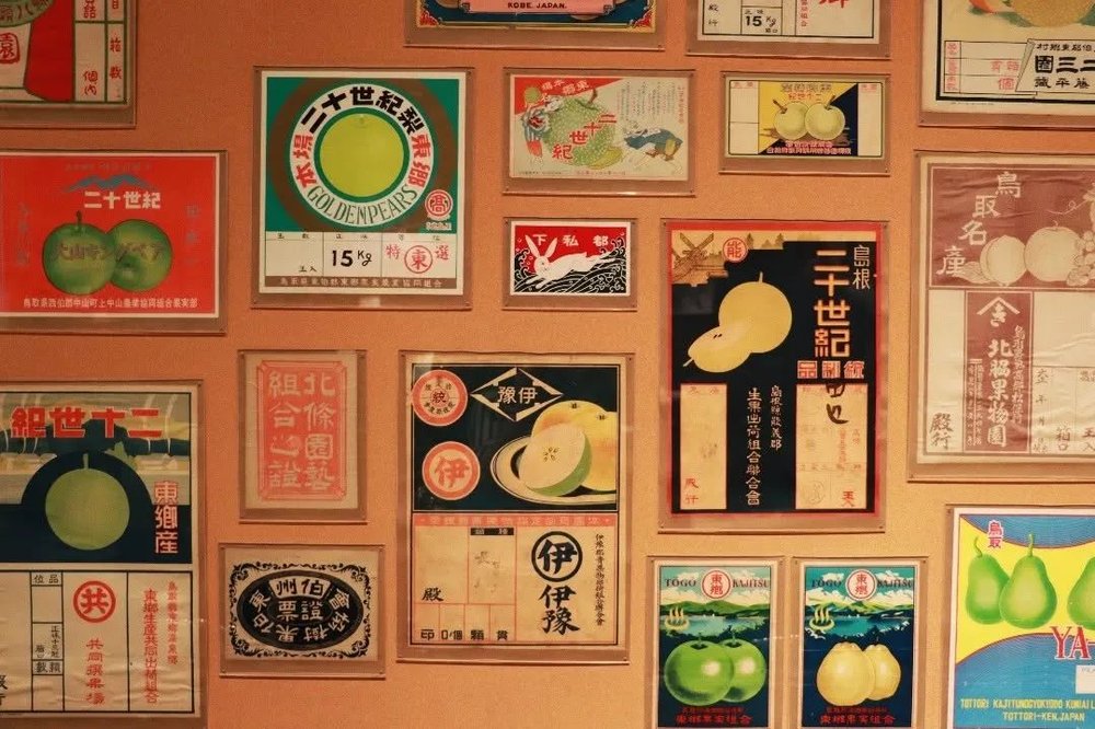 instagram@insta_tottori