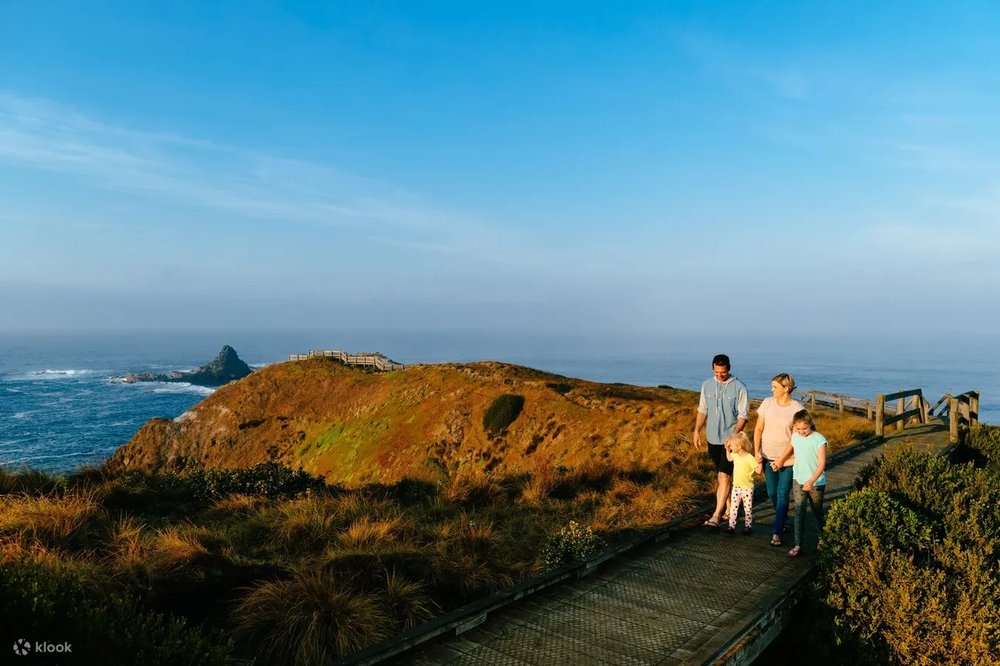 菲利普島自然公園