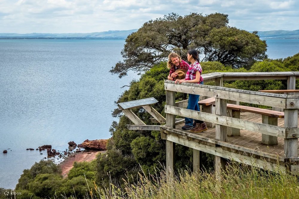 菲利普島 於木棧道上看風景