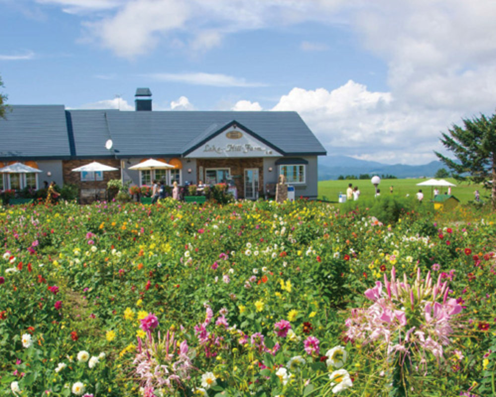 洞爺湖,洞爺湖景點,洞爺湖溫泉酒店,洞爺湖酒店