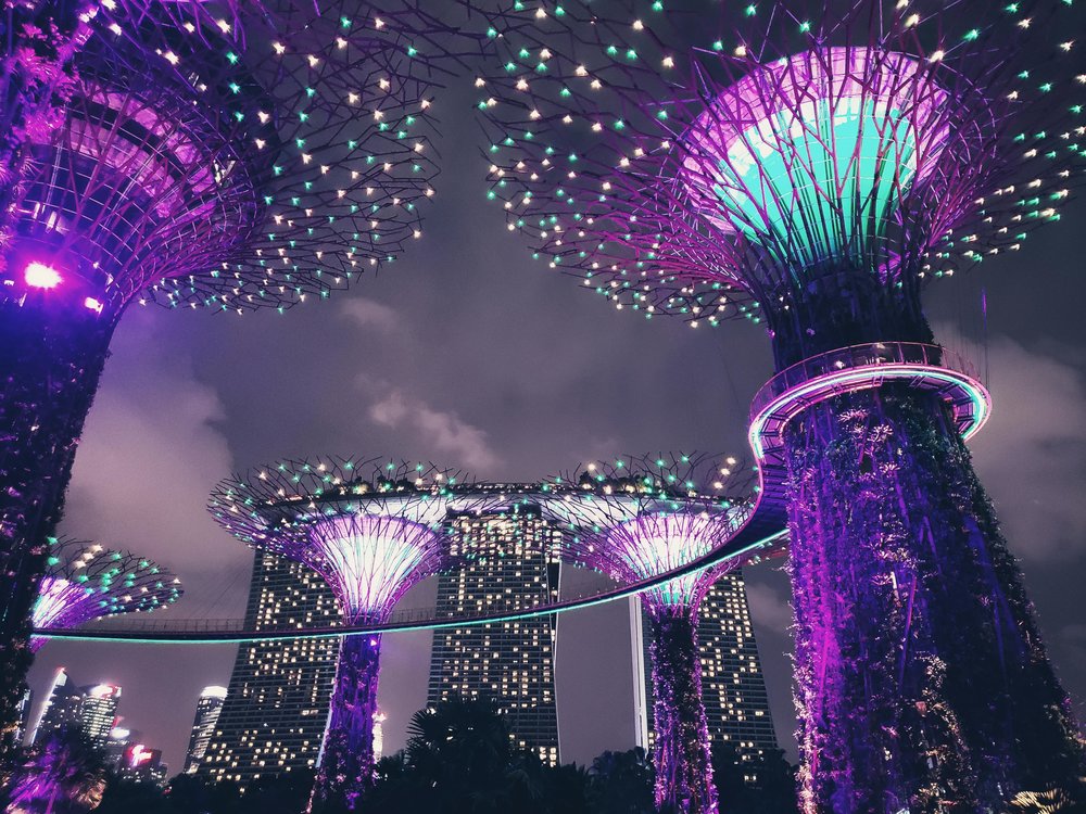gardens by the bay at night