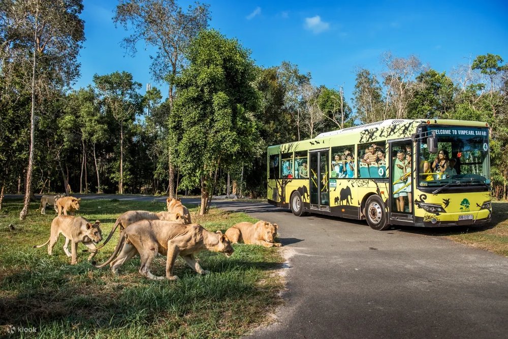 Khám Phá Vinpearl Safari Phú Quốc