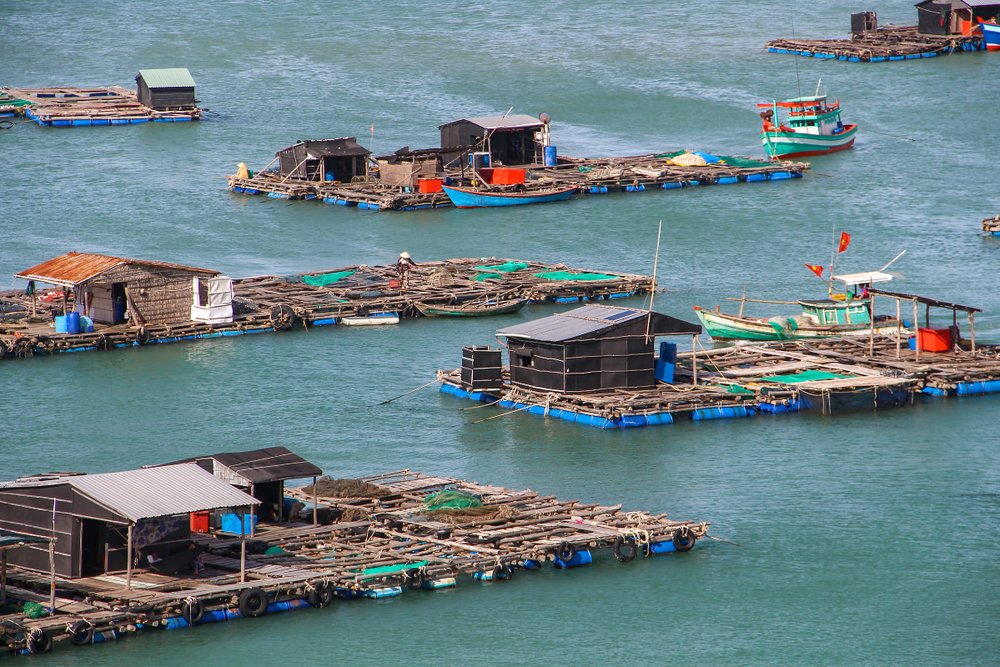 Lưu Ý Khi Đặt Vé Tàu Phú Quốc - Rạch Giá