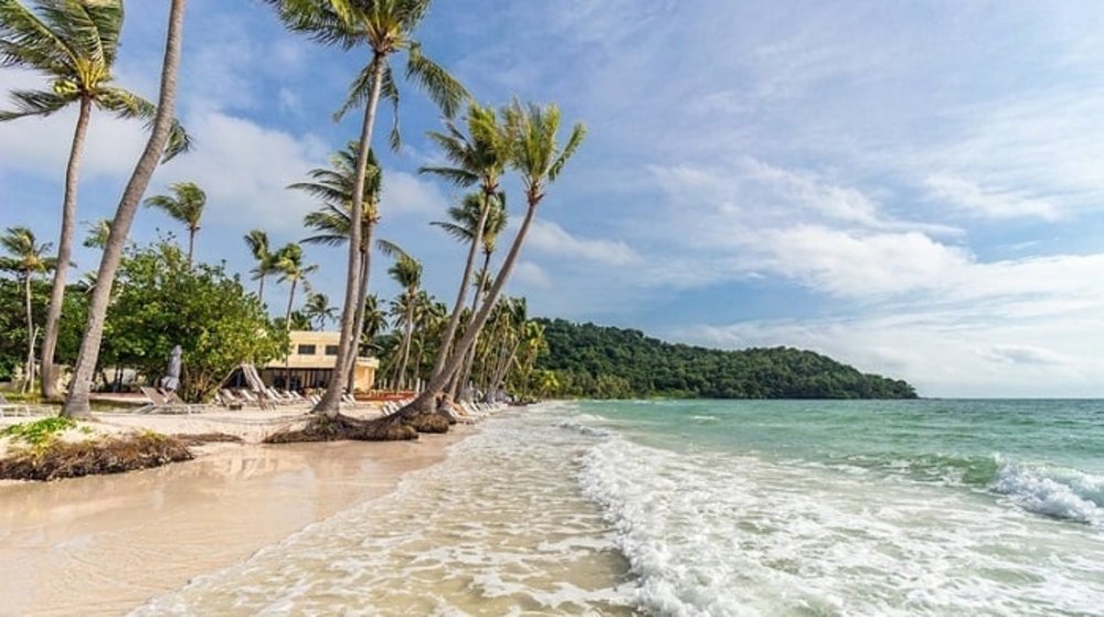 Tắm biển và đi dạo 