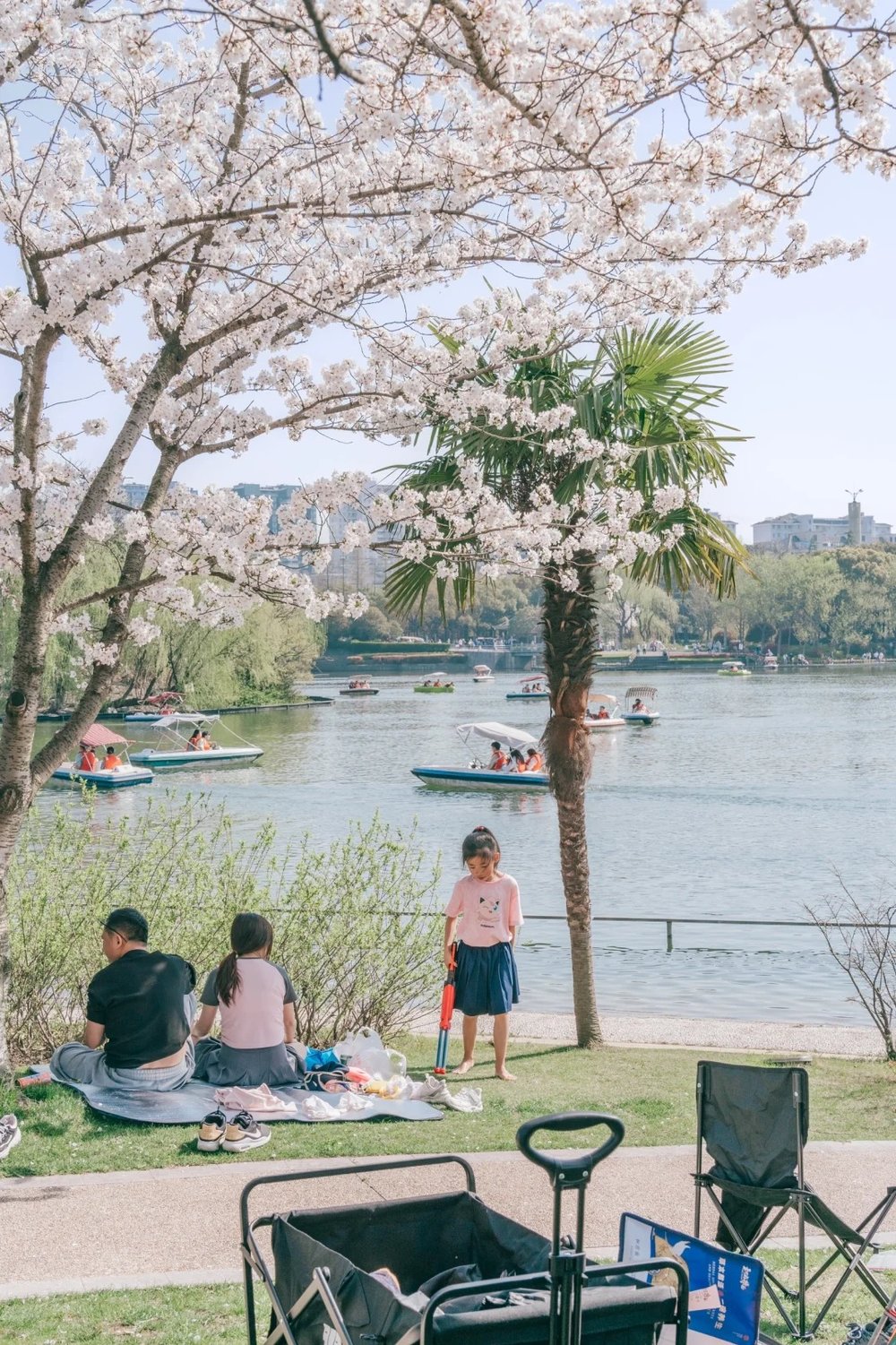 Shanghai Cherry Blossom Spots - Minhang Sports Park (闵行体育公园)