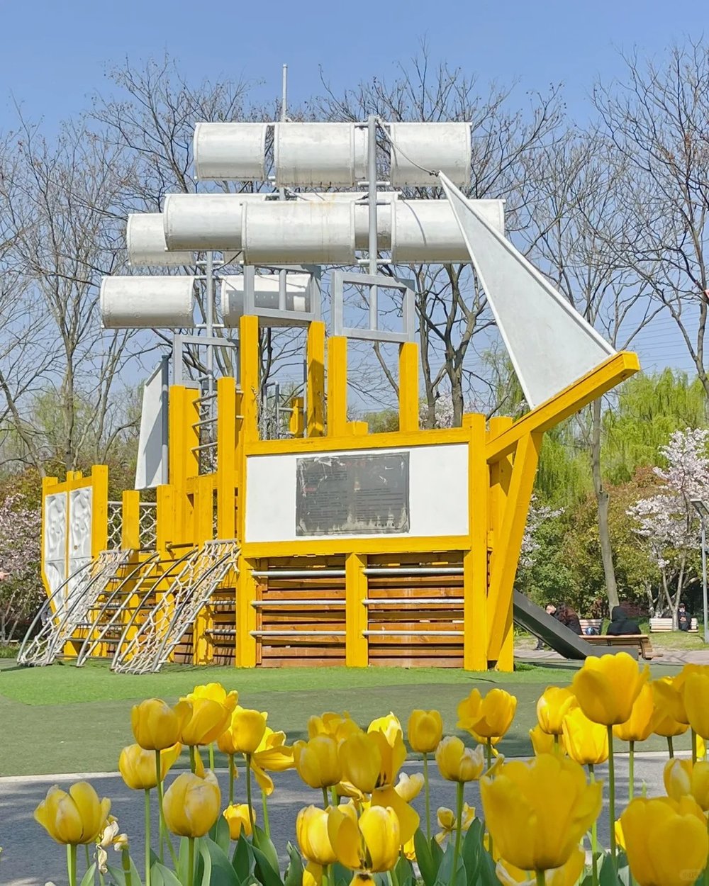 Shanghai Cherry Blossom Spots - Minhang Sports Park (闵行体育公园) Tulips