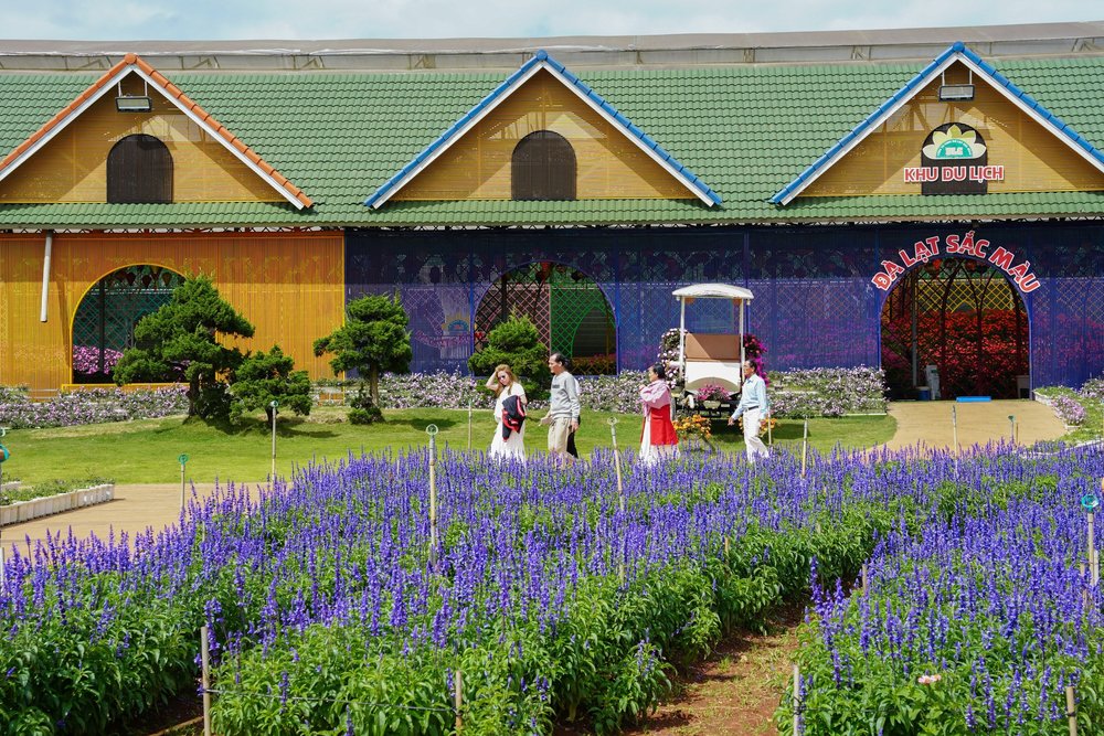 Di Chuyển Đến Làng Hoa Vạn Thành Bằng Xe Máy