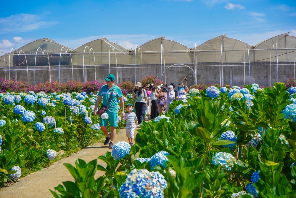 Di Chuyển Đến Làng Hoa Vạn Thành Bằng Xe Taxi