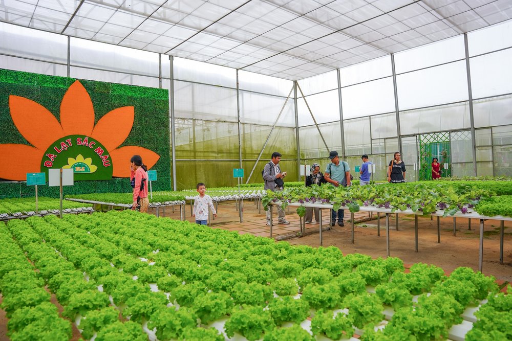 Tham Quan Vườn Rau Xanh Mát Tại Làng Hoa Vạn Thành