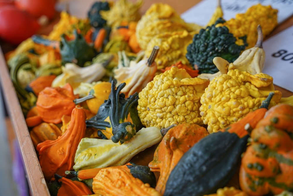 Kinh Nghiệm Tham Quan Làng Hoa Vạn Thành Đà Lạt