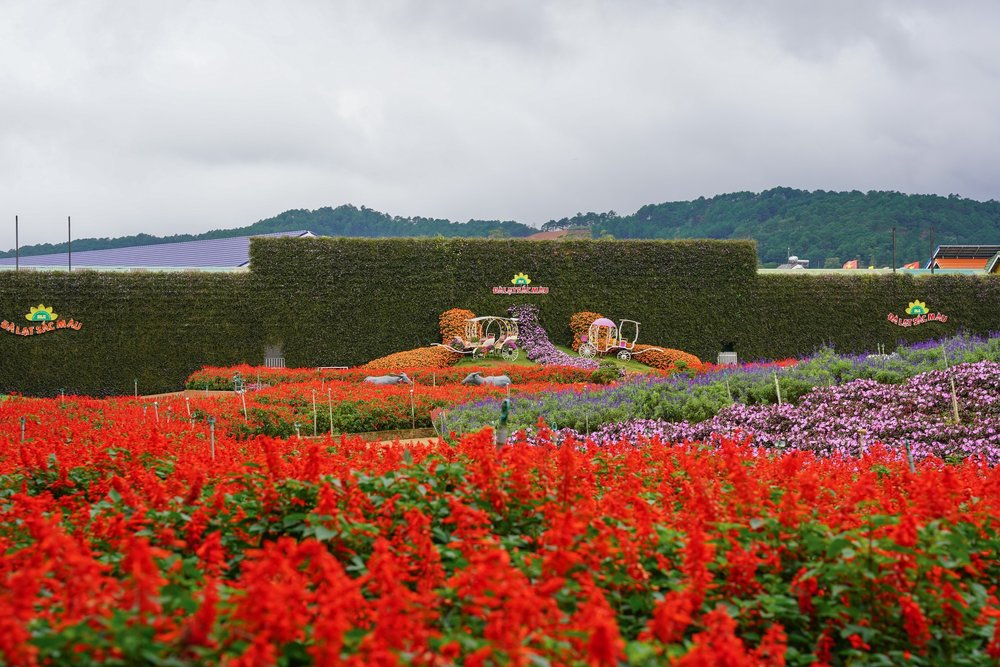 Thời Điểm Tham Quan Làng Hoa Vạn Thành