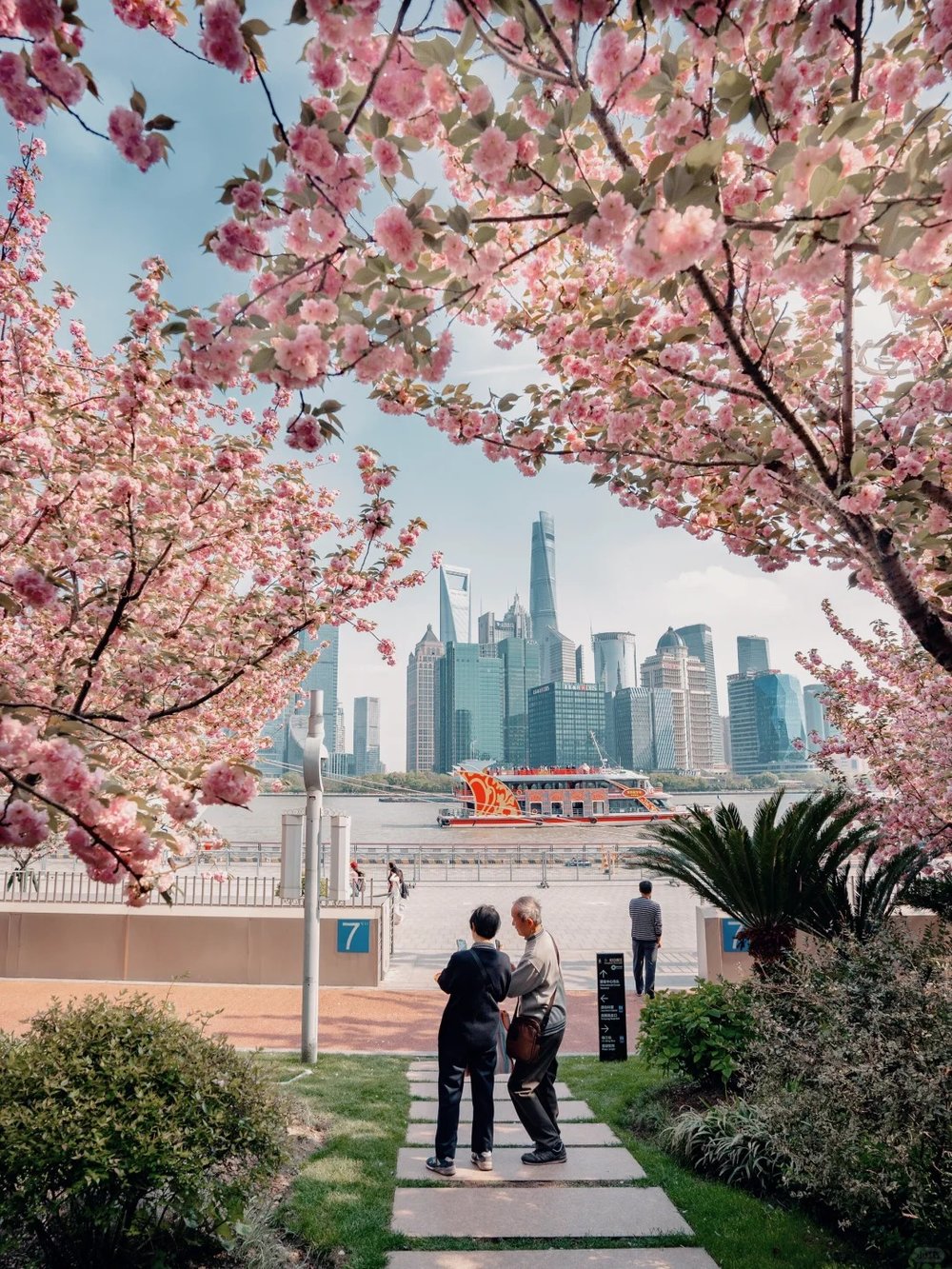 Shanghai Cherry Blossom Spots - North Bund View of Shanghai Skyline