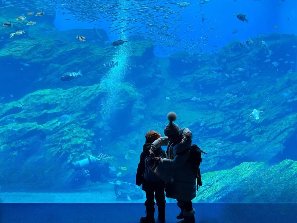 仙台海洋森林水族館