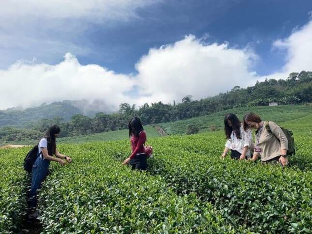 樂野好咖啡常快樂二日之旅