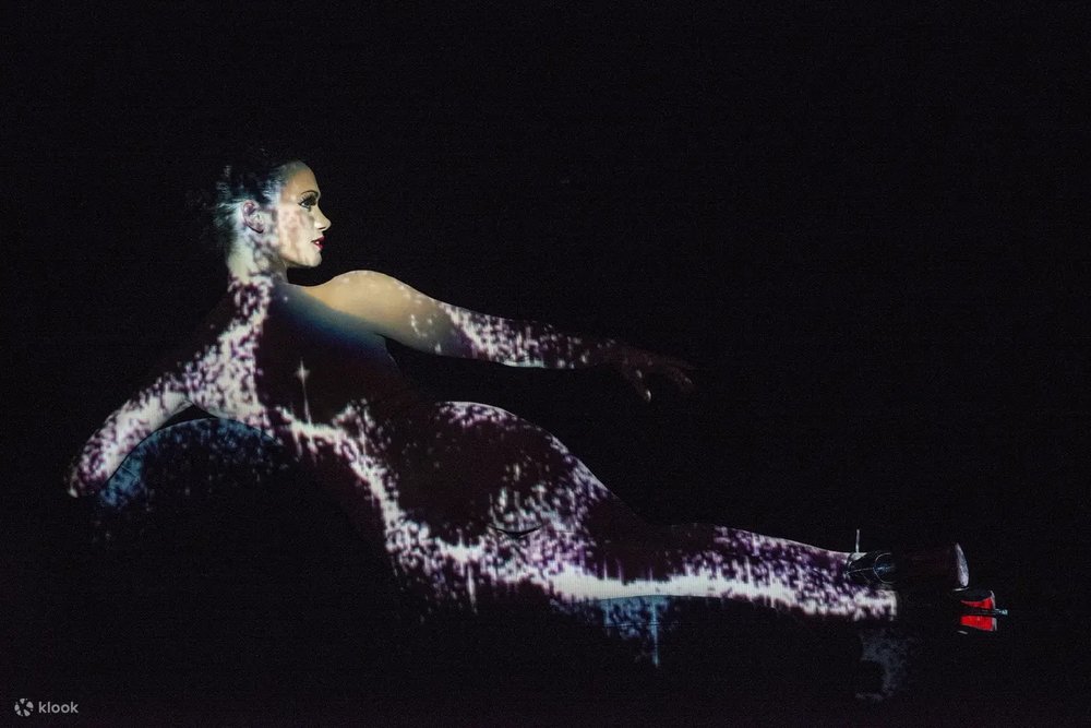 瘋馬秀冷知識:瘋馬女郎條件要求超嚴苛