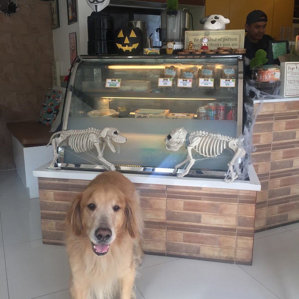 (Source: Whole Pet Kitchen: Pet Deli & Bark-ery/Facebook)