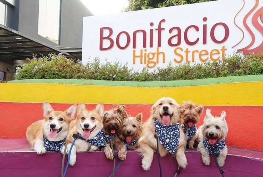 (Source: Bonifacio High Street/Facebook)